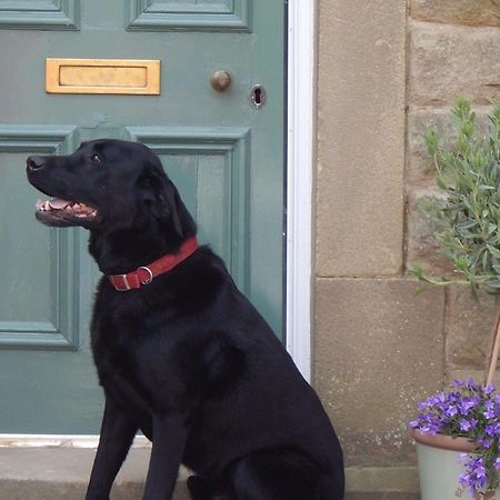 Fern Bank Bed & Breakfast Great Rowsley Dış mekan fotoğraf