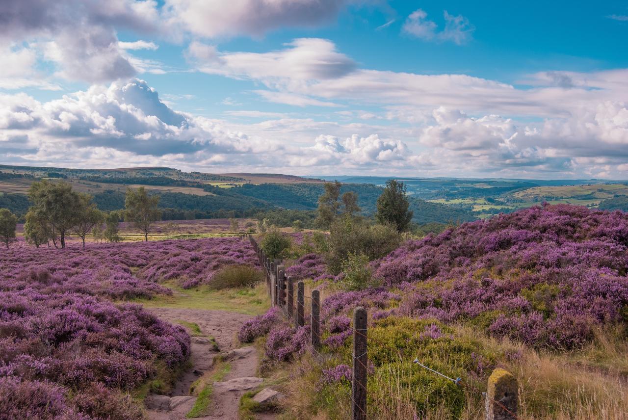 Fern Bank Bed & Breakfast Great Rowsley Dış mekan fotoğraf